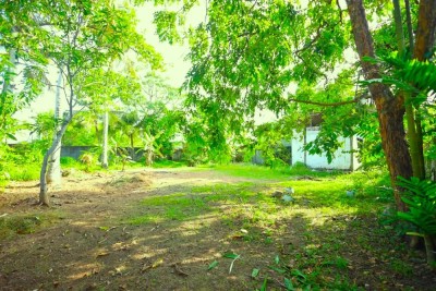21 Perch Land for Sale in Lakshapitiya, Moratuwa | LKR 29.4 Mn(LA4746)-6