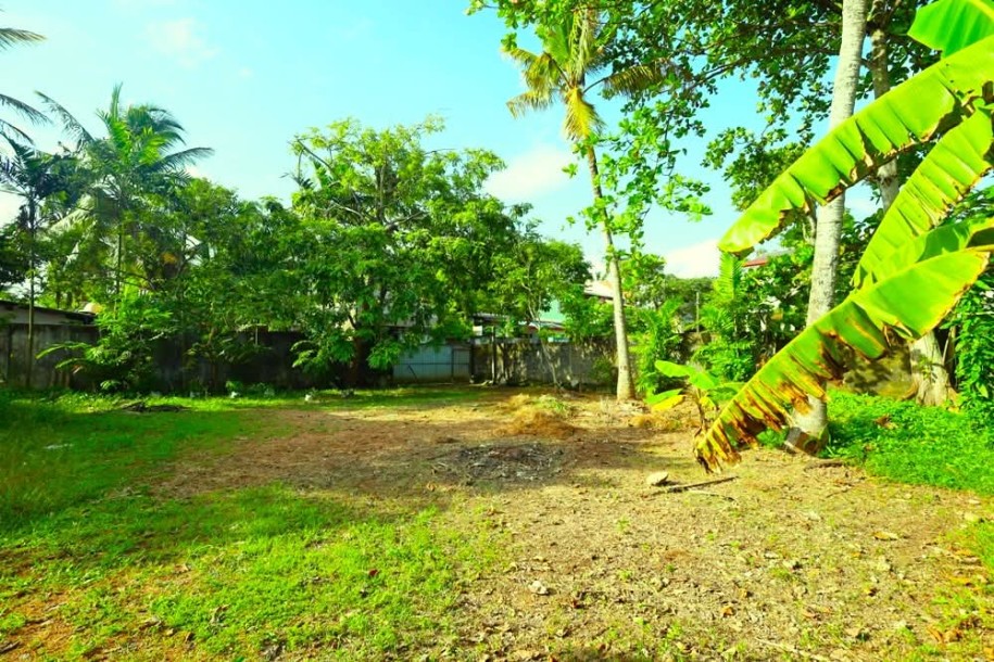 21 Perch Land for Sale in Lakshapitiya, Moratuwa | LKR 29.4 Mn(LA4746)-3