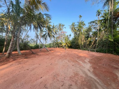 100 Perch Freehold Land for Sale in Kosgoda | LKR 120 Mn(LA4723)-2