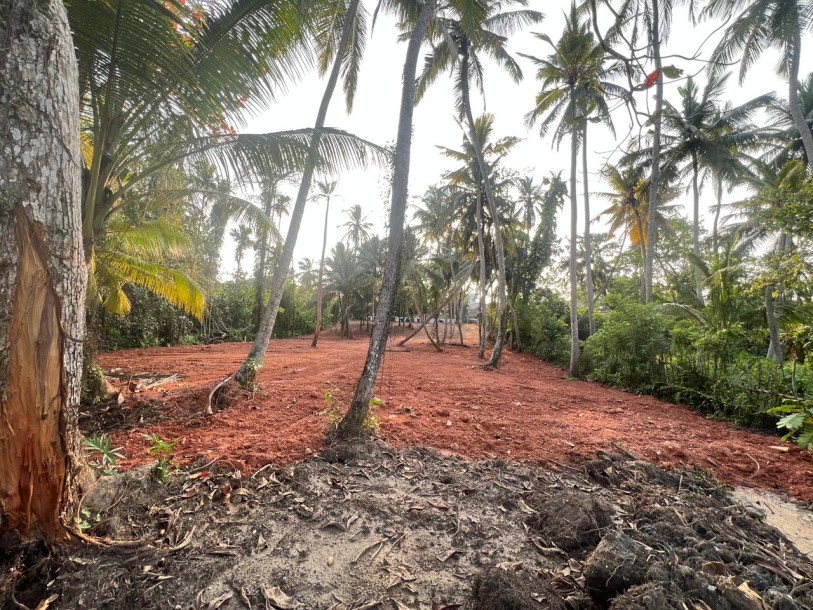 100 Perch Freehold Land for Sale in Kosgoda | LKR 120 Mn(LA4723)-1