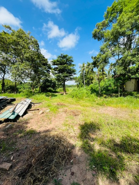 5 Acre Land for Sale in Wennappuwa | LKR 200 Mn (LA4747)-13
