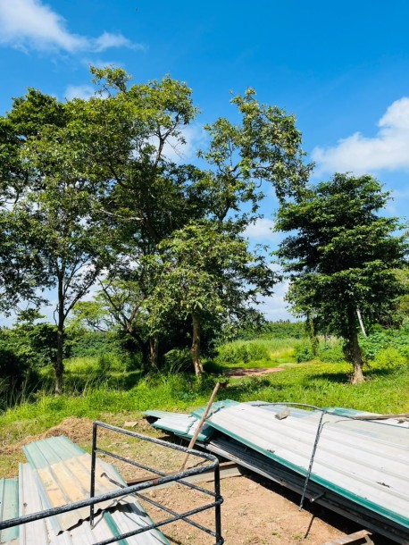 5 Acre Land for Sale in Wennappuwa | LKR 200 Mn (LA4747)-12