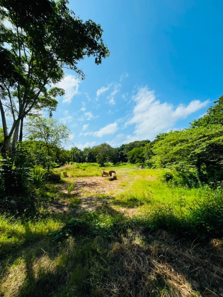 5 Acre Land for Sale in Wennappuwa | LKR 200 Mn (LA4747)-11