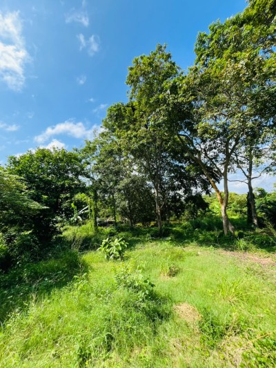 5 Acre Land for Sale in Wennappuwa | LKR 200 Mn (LA4747)-10