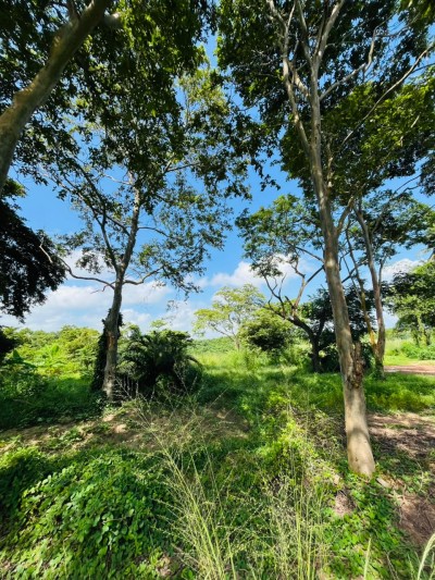 5 Acre Land for Sale in Wennappuwa | LKR 200 Mn (LA4747)-9