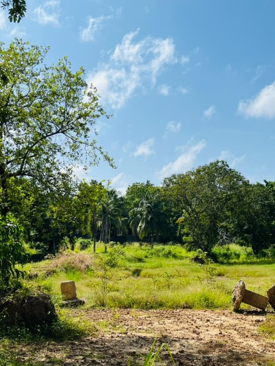 5 Acre Land for Sale in Wennappuwa | LKR 200 Mn (LA4747)-5