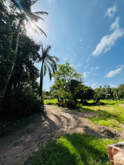 5 Acre Land for Sale in Wennappuwa | LKR 200 Mn (LA4747)-4