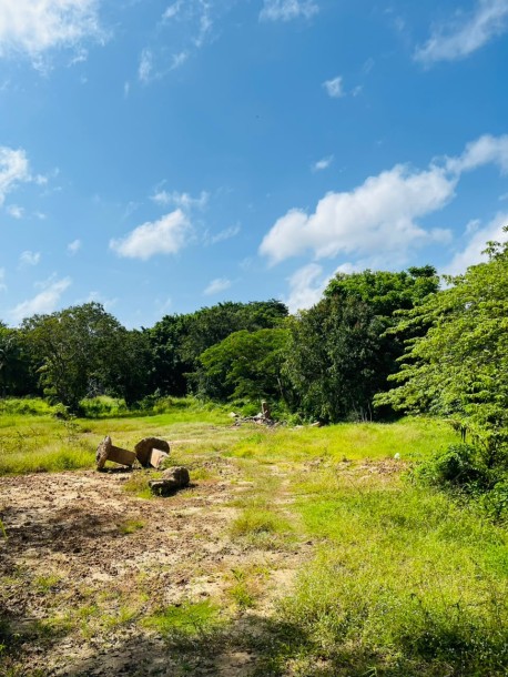 5 Acre Land for Sale in Wennappuwa | LKR 200 Mn (LA4747)-1