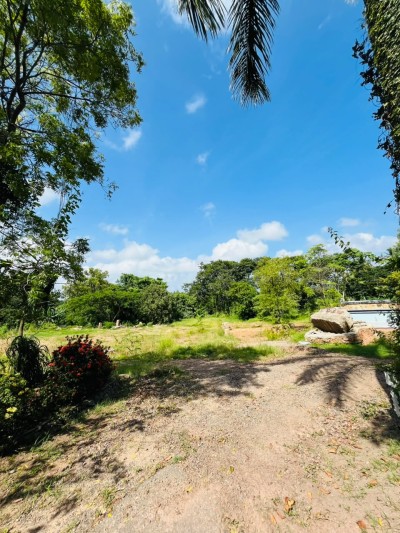 5 Acre Land for Sale in Wennappuwa | LKR 200 Mn (LA4747)-3
