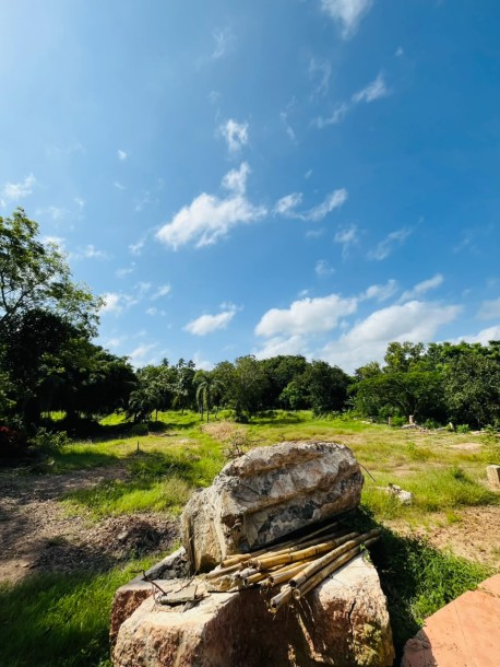 5 Acre Land for Sale in Wennappuwa | LKR 200 Mn (LA4747)-2
