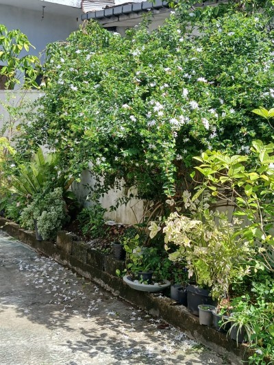 2BR Furnished Upstairs House for Rent in Moratuwa | LKR 100,000/Month-3
