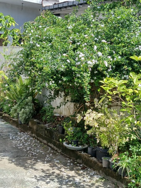 2BR Furnished Upstairs House for Rent in Moratuwa | LKR 100,000/Month-3