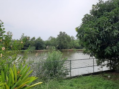 3 Bedroom House for Rent in Nawala | LKR 240,000/Month (HS4752)-5