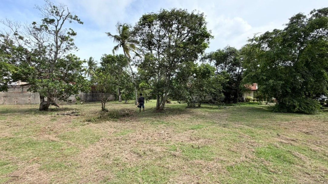 Residential Land for Sale in Eththukala, Negombo | LKR 44 Mn(LA4783)-3