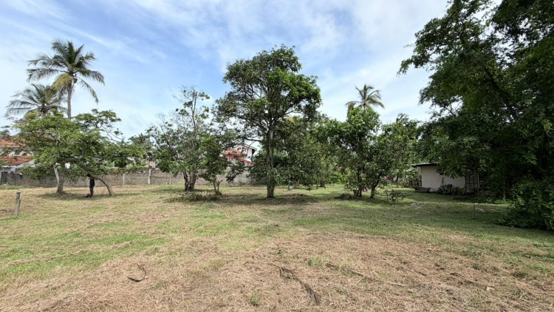 Residential Land for Sale in Eththukala, Negombo | LKR 44 Mn(LA4783)-2