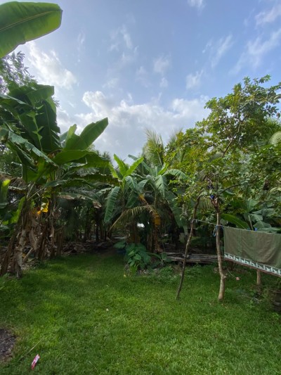 Riverfront Land for Sale in Kahapola, Piliyandala | LKR 98.8 Mn (LA4781)