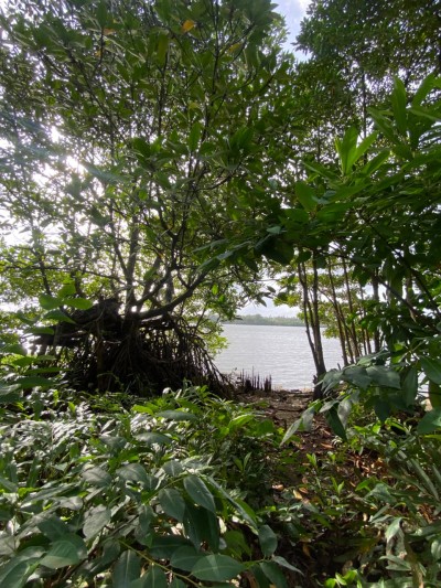 Riverfront Land for Sale in Kahapola, Piliyandala | LKR 98.8 Mn (LA4781)-3