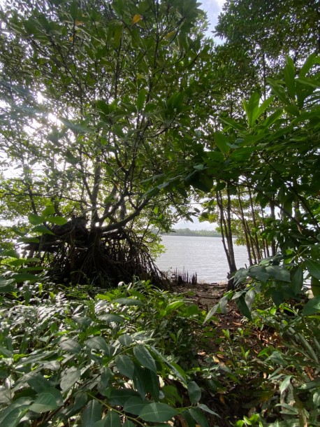 Riverfront Land for Sale in Kahapola, Piliyandala | LKR 98.8 Mn (LA4781)-3