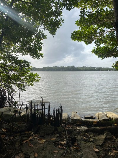 Riverfront Land for Sale in Kahapola, Piliyandala | LKR 98.8 Mn (LA4781)-2