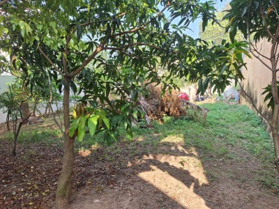 13 Perch Prime Residential Land for Sale in Pepiliyana | LKR 60.45 Mn (LA4780)-3
