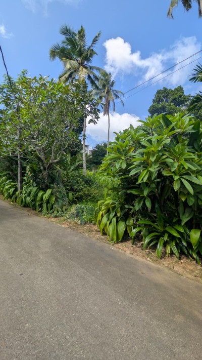 Residential Land for Sale in Madiwela, Kotte | Investment LKR 77.2 Million (Negotiable) (LA4811)-4
