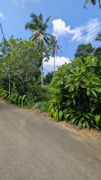 Residential Land for Sale in Madiwela, Kotte | Investment LKR 77.2 Million (Negotiable) (LA4811)-4