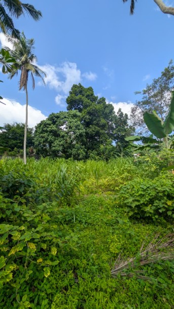 Residential Land for Sale in Madiwela, Kotte | Investment LKR 77.2 Million (Negotiable) (LA4811)-1