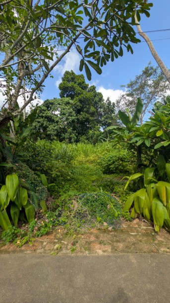 Residential Land for Sale in Madiwela, Kotte | Investment LKR 77.2 Million (Negotiable) (LA4811)-3