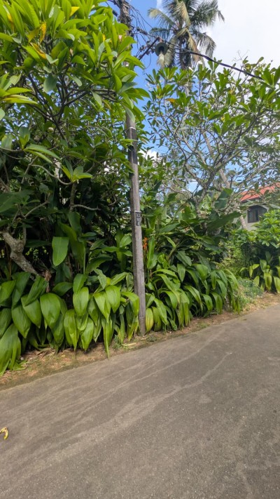 Residential Land for Sale in Madiwela, Kotte | Investment LKR 77.2 Million (Negotiable) (LA4811)-2
