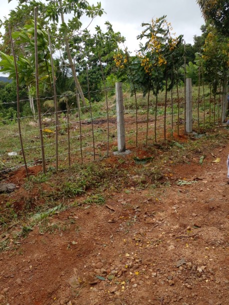 Land for Sale in Uda Kandha, Balangoda | Investment LKR 72 Million (LA4814)-1