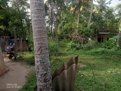 142 Perch Prime Investment Property for Sale in Palugahawela | LKR 600,000 Per Perch (Negotiable) (LA4923)-3