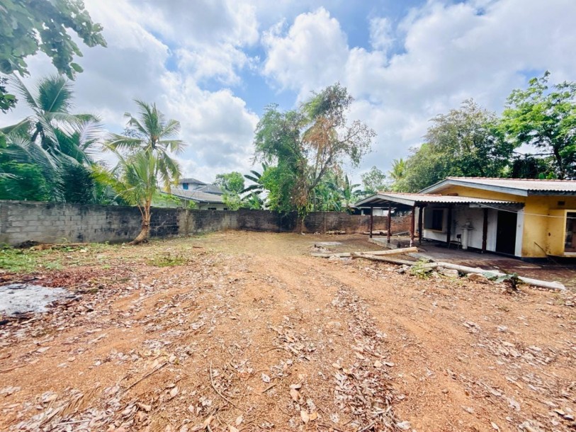 Land for Sale | 98.25 Perches | Maharagama | LKR 7.5 Million Per Perch (LA4958)-1