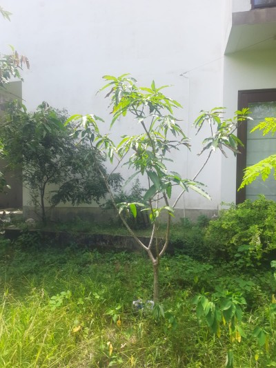 Land for Sale in Rathanapitiya | LKR 3.5 Million Per Perch (LA4982)