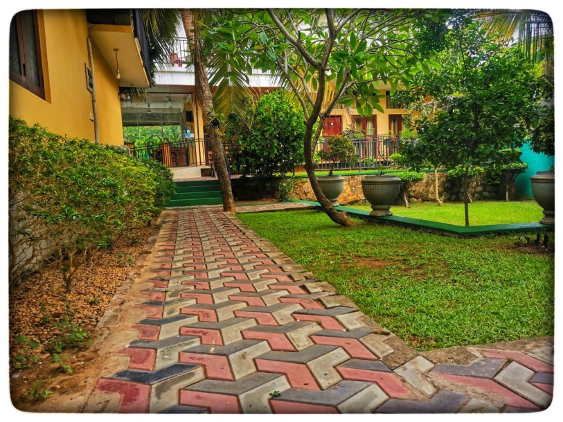 10BR Fully Furnished Villa for Sale in Tissamaharama, Yala | LKR 85 Million (CP4999)-5
