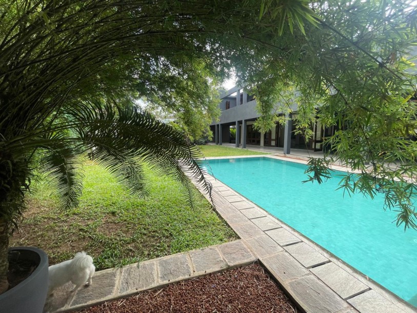 5 Bedroom House with Swimming Pool for Rent in Battaramulla | USD 4,000 Per Month (HS4996)-4