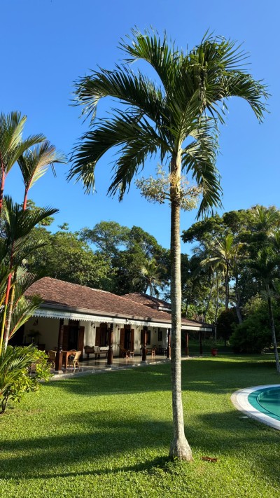 Colonial Villa for Sale in Ginigala – Villa Sepalika | USD 850,000 (VL5029)-18