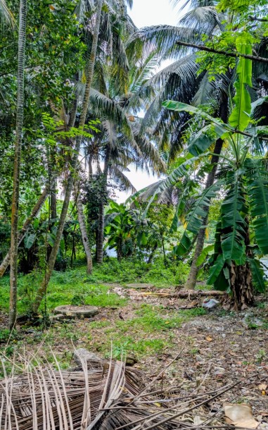 20 Perch Waterfront Land for Sale in Nawala | LKR 120 Million (Negotiable) (LA5018)-3