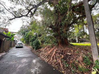 38 Perches Land for Sale in Colombo 06, Off Havelock Road | LKR 8 Million Per Perch  (LA5009)-2