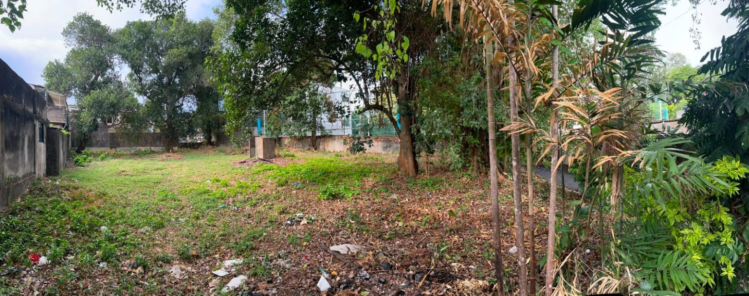 38 Perches Land for Sale in Colombo 06, Off Havelock Road | LKR 8 Million Per Perch  (LA5009)-3